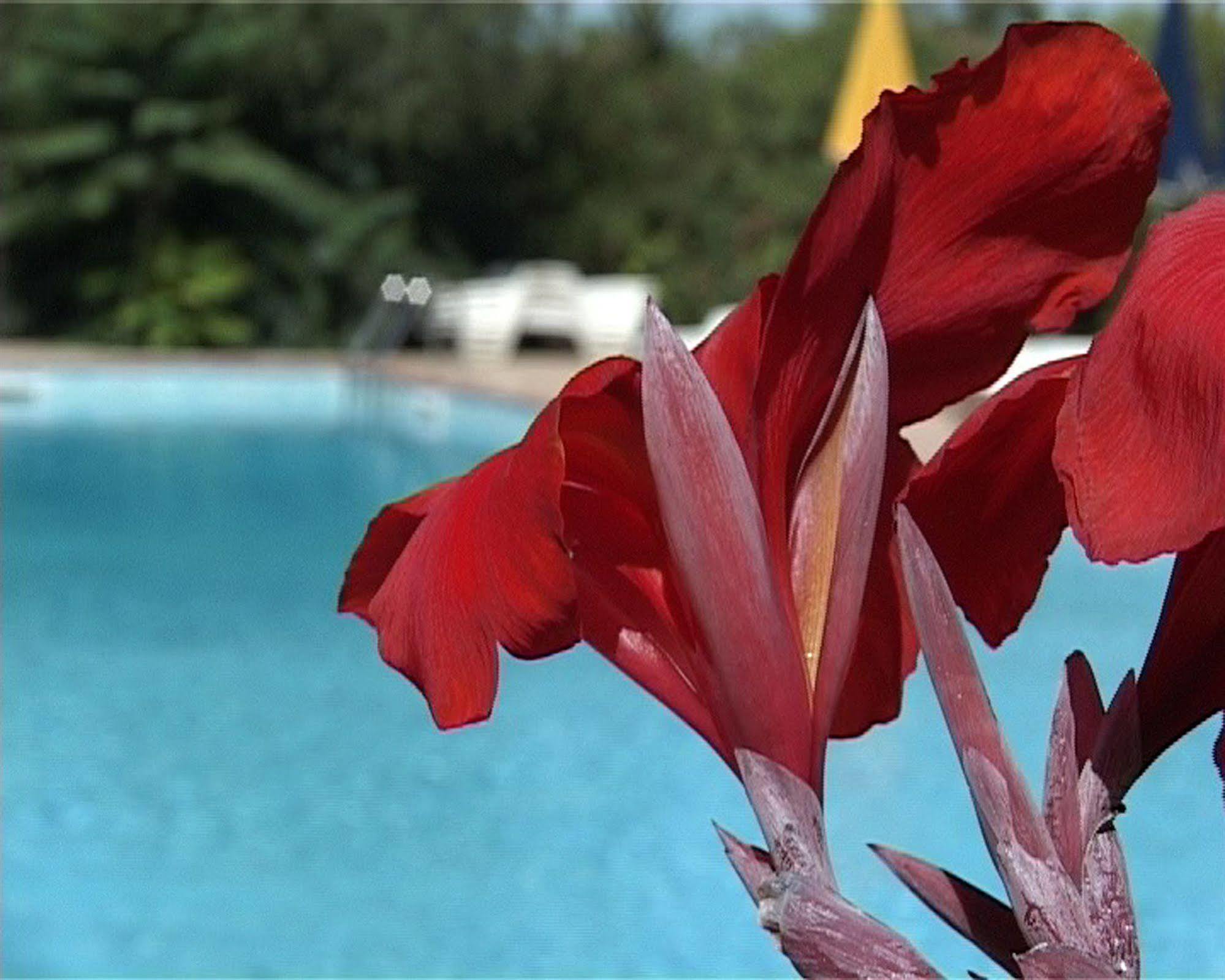 Villa Tasca กัลตาจีโรเน ภายนอก รูปภาพ